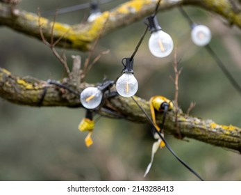 Outdoor Party String Lights Hanging In Backyard On Green Bokeh Background With Copy Space