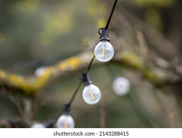 Outdoor Party String Lights Hanging In Backyard On Green Bokeh Background With Copy Space