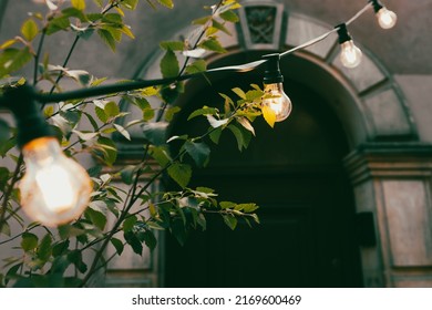 Outdoor Party String Lights Hanging In Backyard On Bokeh Background With Copy Space, Summer Time