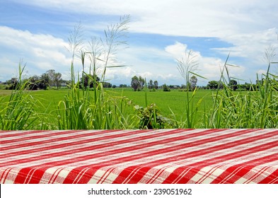 967 Picknick Background Images, Stock Photos & Vectors | Shutterstock