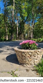 Outdoor Planter With Flowers In The Park