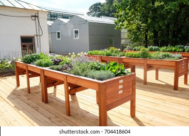 Outdoor Planting Table For Herb Gardening, Garden On The Brown Table