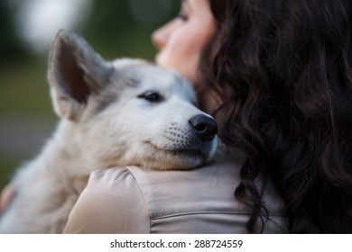 Outdoor Portrait Of Beautiful Girl And Malamute Pup