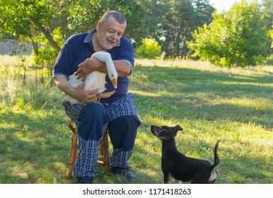 Outdoor portrait of senior man introducing black puppy to his cute friend white goose