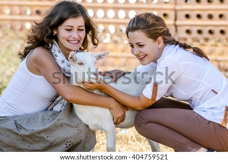 Similar – Little baby cow feeding from milk bottle.