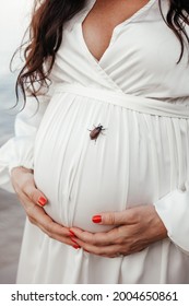 Outdoor Pregnancy Photoshoot. Pregnant Belly Close-up. Black Bug On White Dress