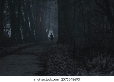 Outdoor setting during inversion. figure in the distance in black clothes. Haunted place. Mist place. Mysterious. Path between the trees