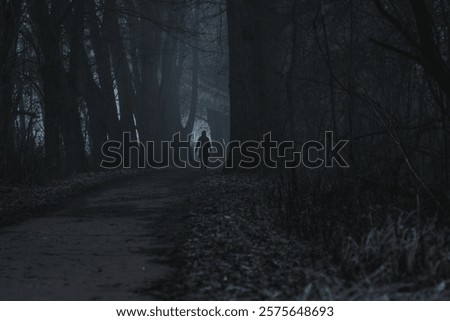 Outdoor setting during inversion. figure in the distance in black clothes. Haunted place. Mist place. Mysterious. Path between the trees