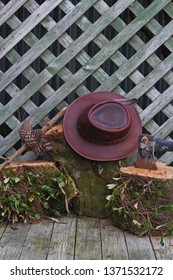 Outdoor setting, hat, axe and pine cones on wooden stumps portrait
