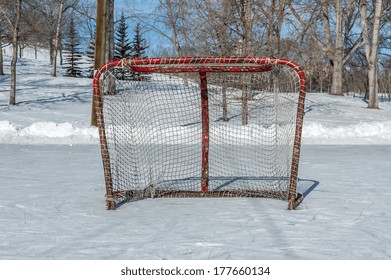 Outdoor Shinny Hockey Net. 