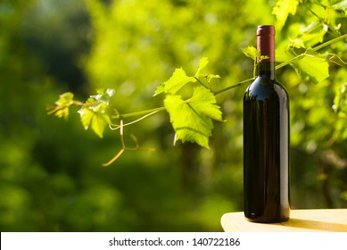 Outdoor Shot Of A Bottle Of Red Wine In The Vineyard