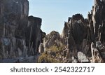 Outdoor shot of a rocky landscape under a clear, light-blue sky. Close-up view of the rugged, layered rock of the ravine.