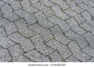 Outdoor stone pavement featuring interlocking bricks with moss growing in the gaps, creating a textured and natural urban surface.