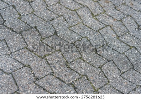 Outdoor stone pavement featuring interlocking bricks with moss growing in the gaps, creating a textured and natural urban surface.