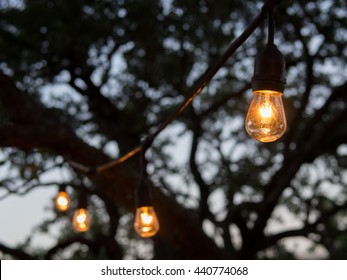 Outdoor String Lights Hanging On Trees