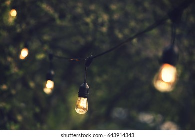 Outdoor String Lights Hanging On A Line In Backyard