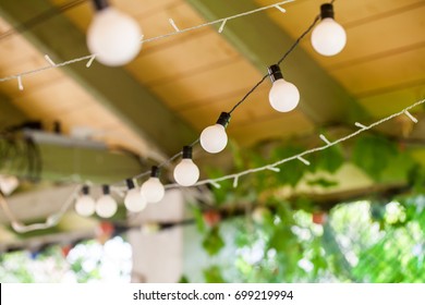 Outdoor String Lights Hanging On A Line In Backyard