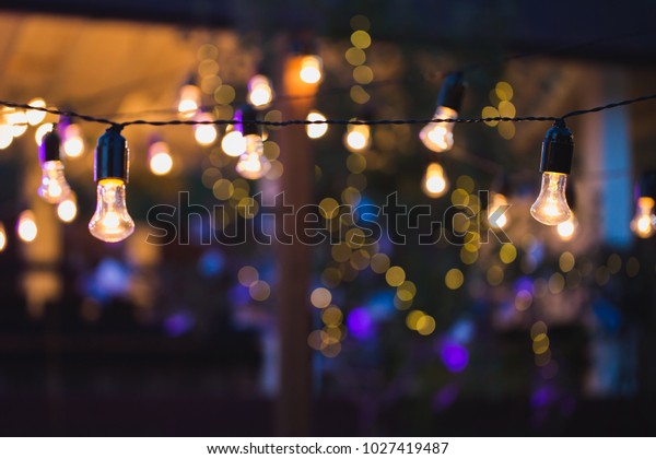 outdoor\
string lights hanging on a line in\
backyard