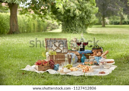 Outdoor summer lifestyle with a gourmet picnic laid out on the grass in a park with bread rolls, berries, cheese, meat kebabs, pickles, red wine in stylish glasses and a vintage lantern on a hamper