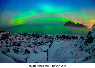 Outdoor view of beautiful multicoloured vibrant Aurora Borealis or Aurora Polaris, also know as Northern Lights in the night sky over Lofoten Islands