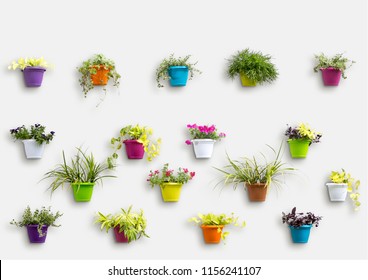 Outdoor Wall Planter