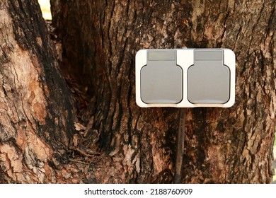Outdoor Waterproof Electric Power Socket Placed In Tree Trunk 