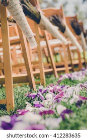 Outdoor Wedding Aisle