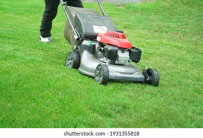 Outdoor Worker Working On Mowing The Lawn          