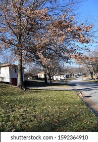 An Outdoors Shot In A Neighborhood In Kansas City, Missouri. Houses Align The Street. Picture Taken On A Cold Day In December.