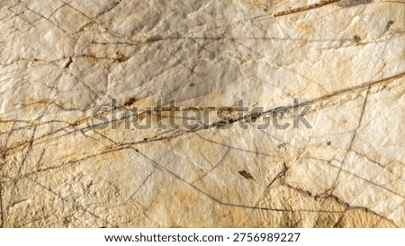 The outer surface of a flint concretion at the interface with the sedimentary rock. Background texture.