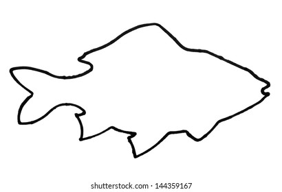 Outline of a fish