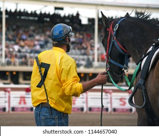 Outrider With Horse At Chuckwagon Races