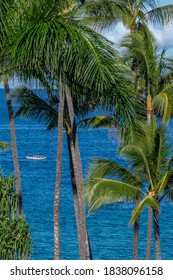 Outrigger Canoe, Maui, Hawaii, USA.