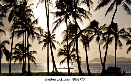 Outrigger Canoe Paddling Behind Palm Trees In Hawaii