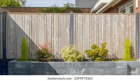 an outside area with some plants and potted pots on the ground in front of a wooden fenced back yard, New freshly planted plants in concrete garden spring - Powered by Shutterstock