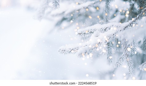 Outside Christmas tree in snow background with tree lights.