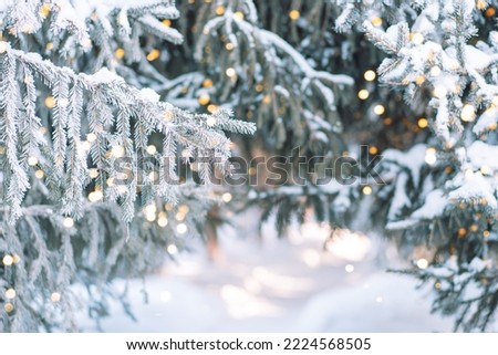 Outside Christmas tree in snow background with lights from garlands.