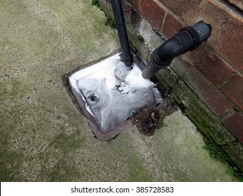 Outside drain, blocked by leaves and rubbish
