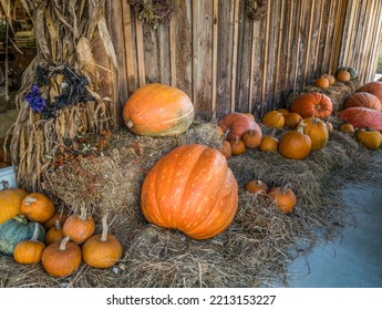 Outside A Garden Store Is A Rustic Fall Display Of Pumpkins Of Different Sizes And Bales Of Hay With A Corn Stalk And Festive Decor Alongside The Building Outdoors