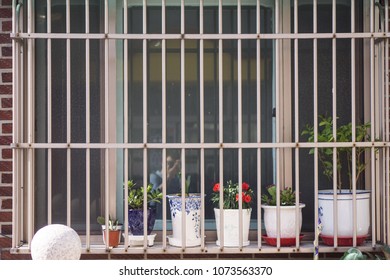 the outside window