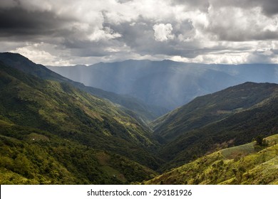 105 Kalay Images, Stock Photos & Vectors | Shutterstock