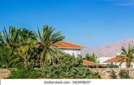 Outskirts Villa With Palm Trees Garden Living Apartment House Somewhere In Israeli Desert Warm Natural Environment 