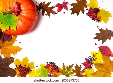 An oval frame made of autumn yellow and brown maple and oak leaves, decorated with red rowan and blue wild grapes berries and beautiful orange pumpkin. White background. Сopy space. Fall concept.