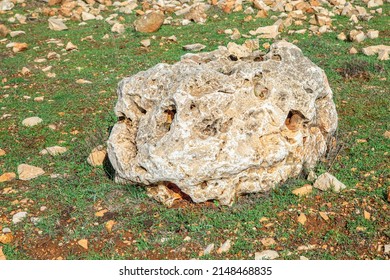 An Oval, Porous Limestone Lies On Brown, Stony, Israeli Soil.