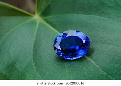 Oval Tanzanite On Green Leaf Background. Top Gem Stone                    