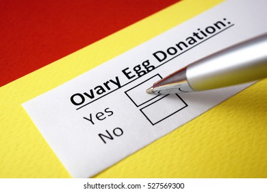 Ovary Egg Donation: Yes
