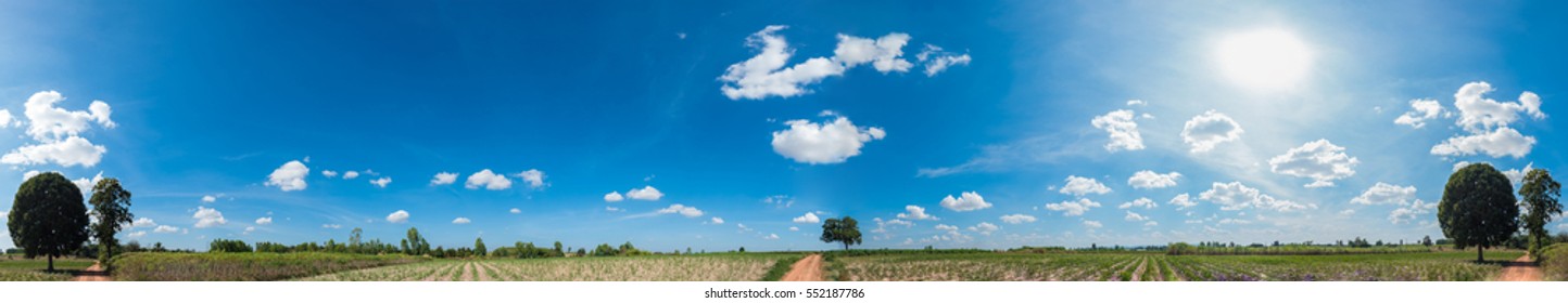 over 360 degree panorama view of countryside with small plant crops on blue sky background