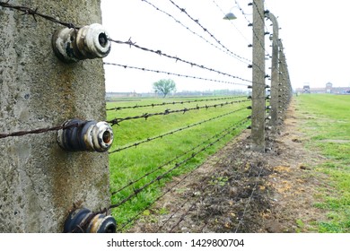 Over 70 Years Old Barbed Wire Fences And Porcelain Insulators In Oswiecim, Poland 