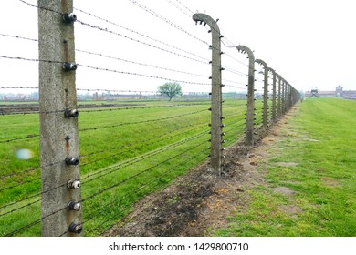 Over 70 Years Old Barbed Wire Fences And Porcelain Insulators In Oswiecim, Poland 