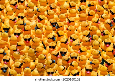 Over 70,000 Rubber Ducks Being Poured Into The Chicago River For The Chicago Ducky Derby As An Annual Fundraiser Benefiting The Special Olympics Illinois, Thursday, Aug. 5, 2021 In Chicago.  